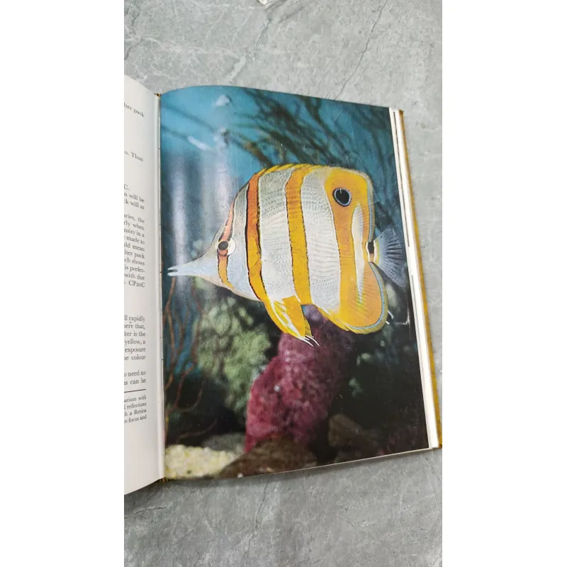 MANUAL OF COLOUR PHOTOGRAPHY (HƯỚNG DẪN NHIẾP ẢNH MÀU) - EDWARD S. BOMBACK 791846