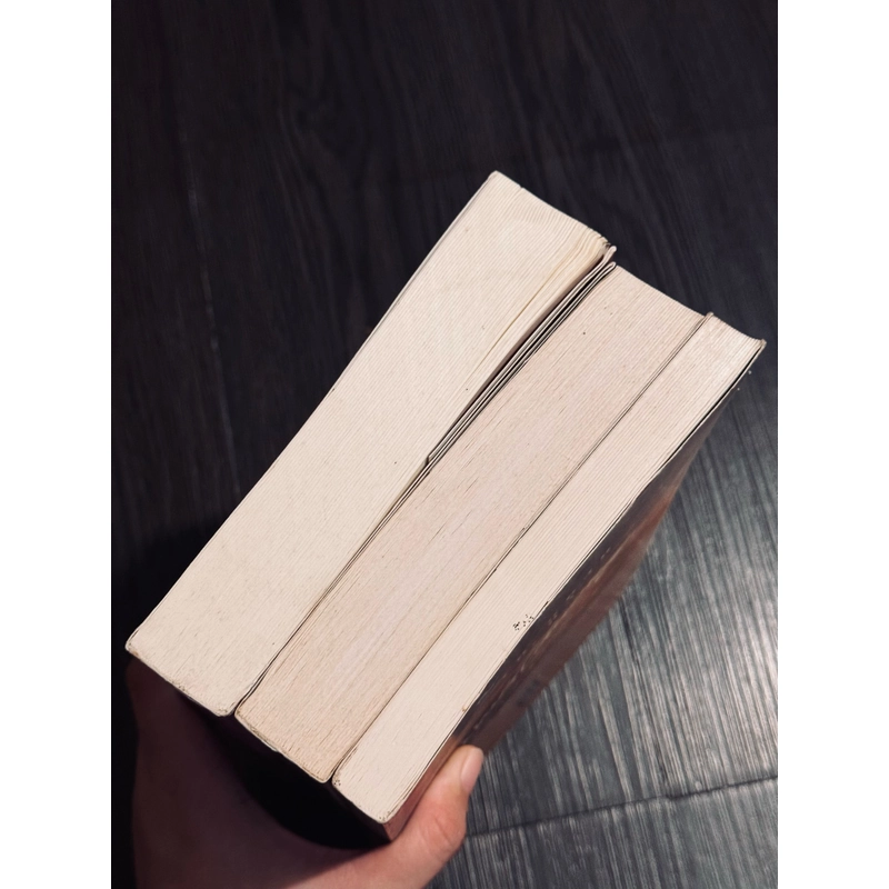 Combo 3 tác phẩm của Carlos Ruiz Zafón 507028