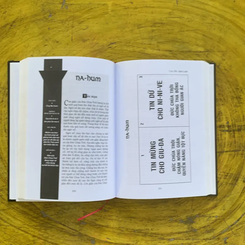 CỰU ƯỚC & TÂN ƯỚC GIẢN LƯỢC - HUANG SABIN   1029455