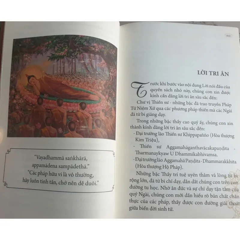 Tứ Niệm Xứ - Hành Trình Minh Sát Qua Các Phương Pháp Thiền 796147