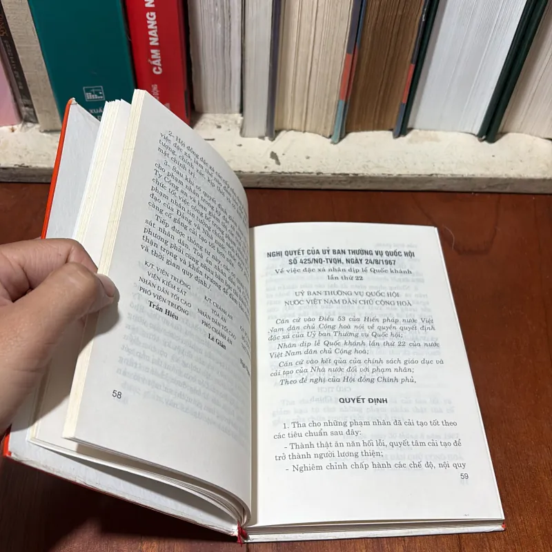II Sách Luật: Hệ Thống Hoá Các Văn Bản Về Đại Xá, Đặc Xá (Lưu Hành Nội Bộ) - 2000 748221