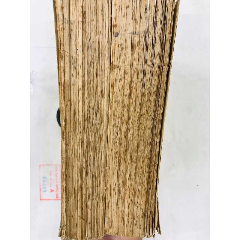 Những cây thuốc và vị thuốc Việt Nam - Đỗ Tất Lợi 52530