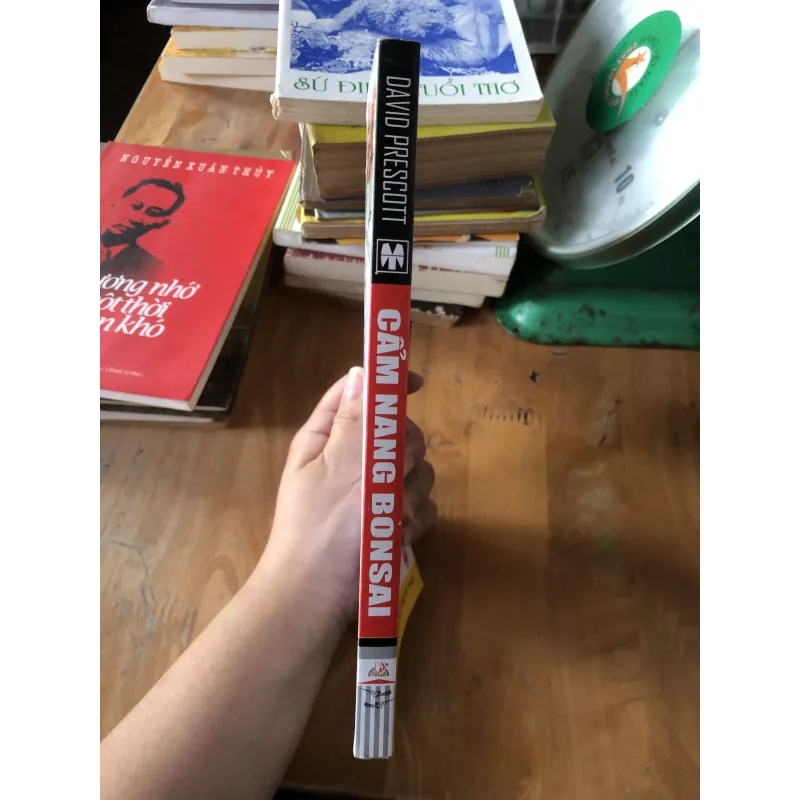 Cẩm nang bonsai 973871