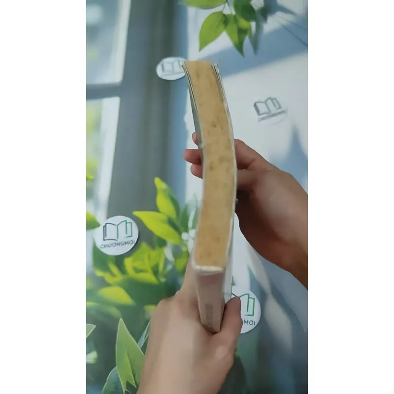 Cảm Ơn Cuộc Sống Một Lần Nữa 1018888