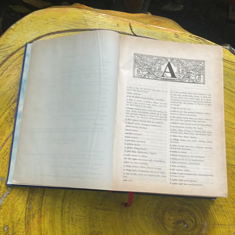 COMBO TỪ ĐIỂN ANH - VIỆT & TỪ ĐIỂN VIỆT - ANH - BÙI PHỤNG 695756