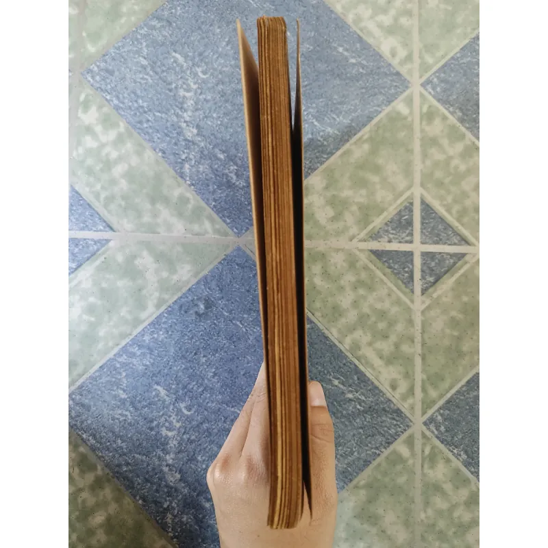 Tae kwon do Thái cực Đạo căn bản - Lạc Hà & Phan Chấn Thanh 708335