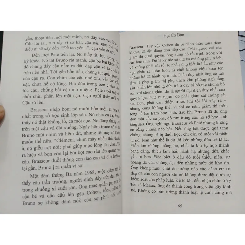 HẠT CƠ BẢN - MICHEL HOUELLEBECQ 593344