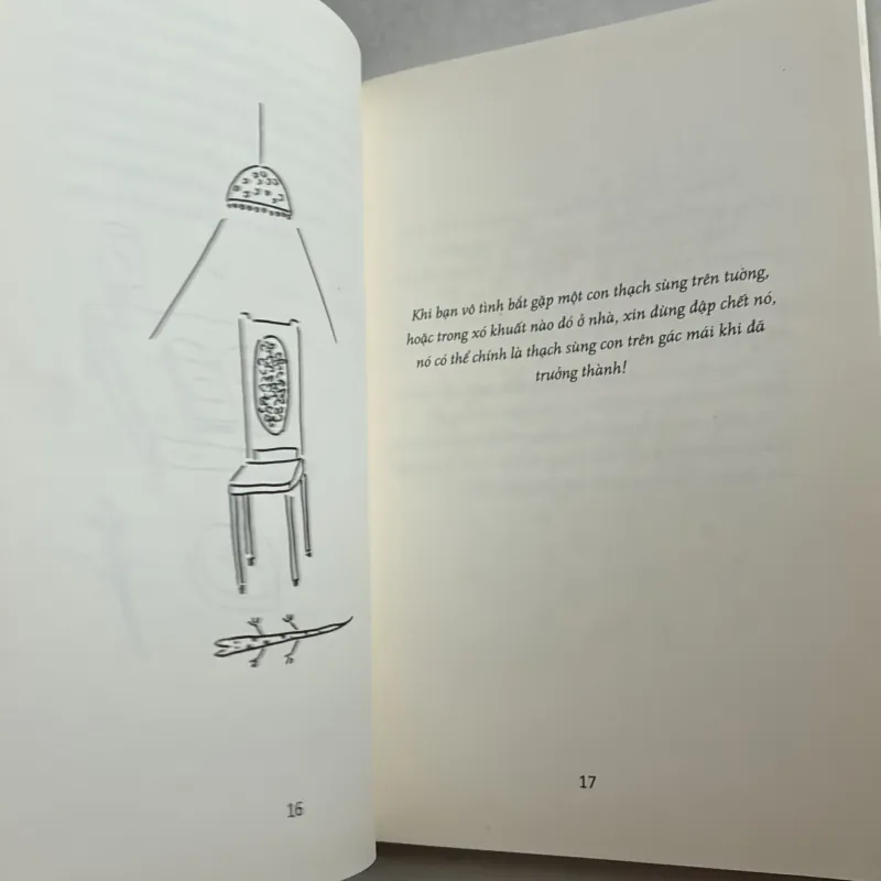 Thạch sùng con trên gác mái 778136