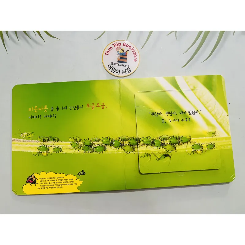 Set boardbook tranh ảnh động vật, thực vật chó bé B30 l 1043706