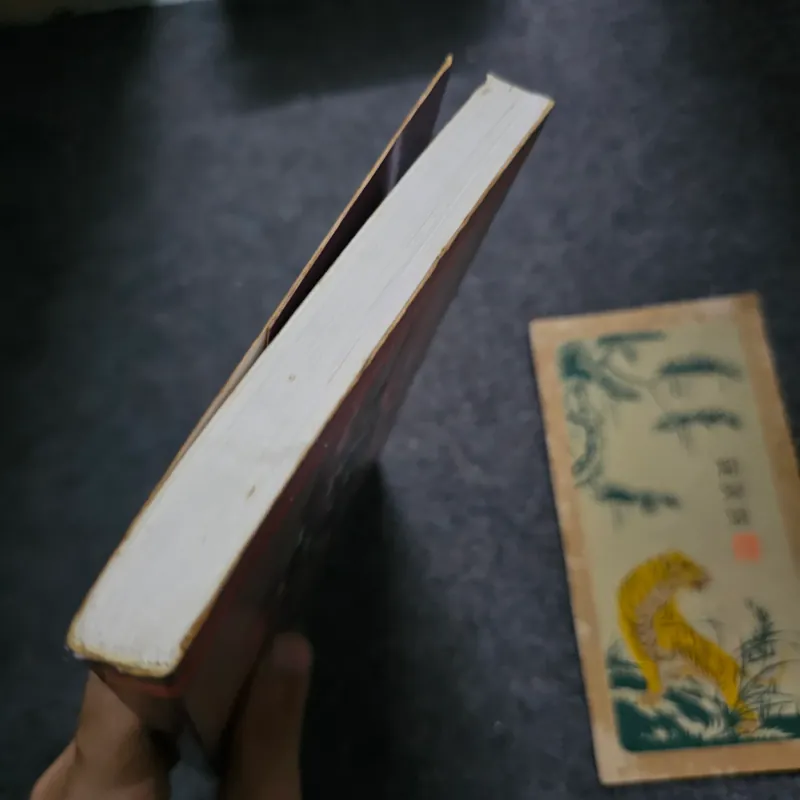 Tình trên non cao - Gheorghiu 734923