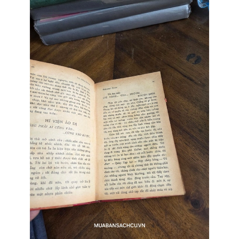 Sói đồng hoang - Hermann Hess 796895