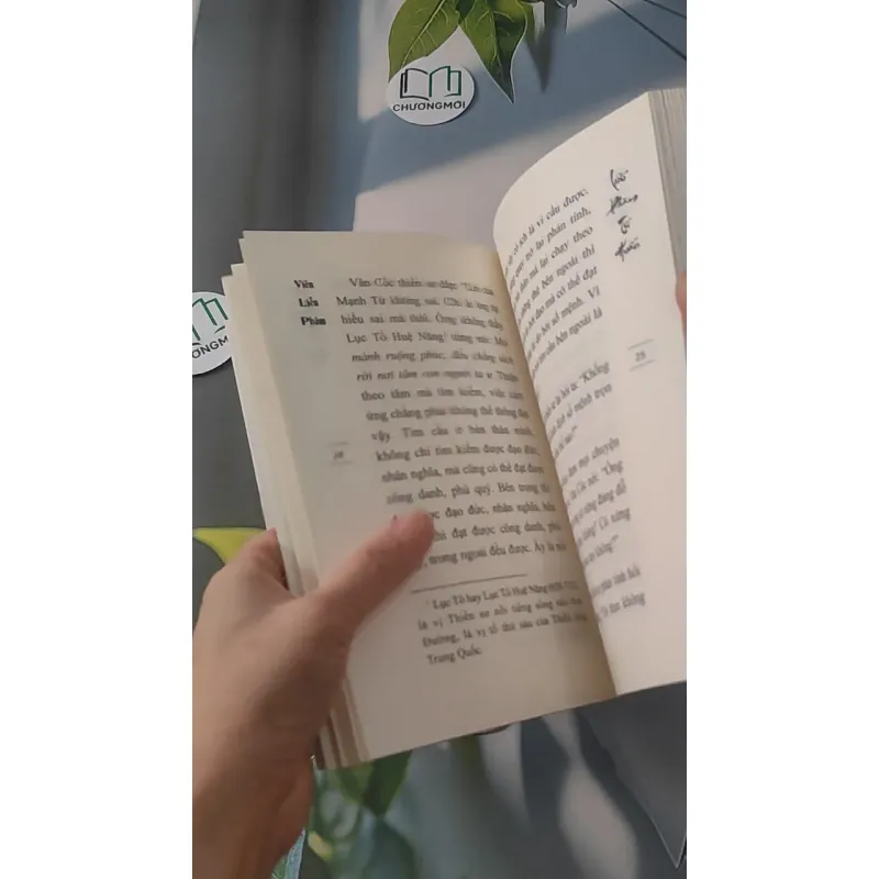 Liễu Phàm Tứ Huấn - Viên Liễu Phàm 928498