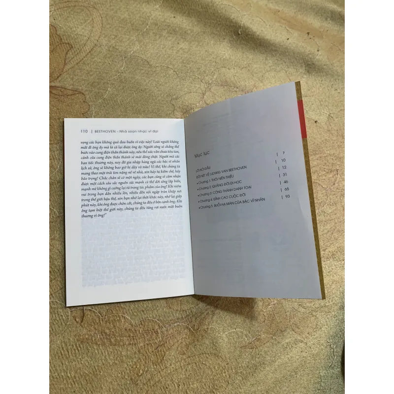 COMBO BEETHOVEN NHÀ SOẠN NHẠC VĨ ĐẠI & KỲ TÀI ÂM NHẠC NGƯỜI CHIẾN THẮNG SỐ PHẬN 784952