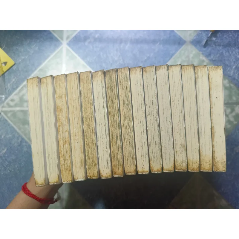 Cuộc phiêu lưu của Croket ( 15 tập) 976074