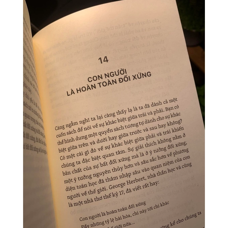 NHỮNG BÍ ẨN CỦA TAY PHẢI VÀ TAY TRÁI - Chris McManus 530236