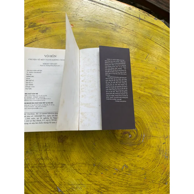 VÔ HỒN(2)- SERGEY MINAEV 557420