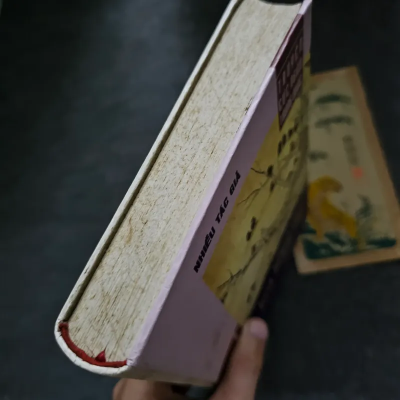 Hoa hồng dại - Truyện cực ngân Trung quốc 736468