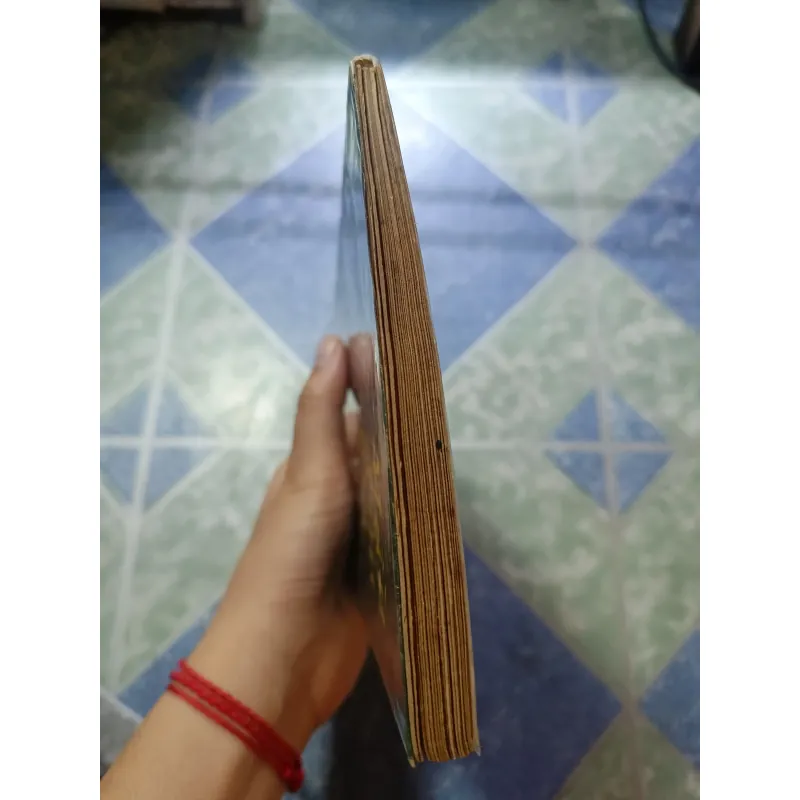 Mầu tím hoa sim thơ - Hữu Loan 975099