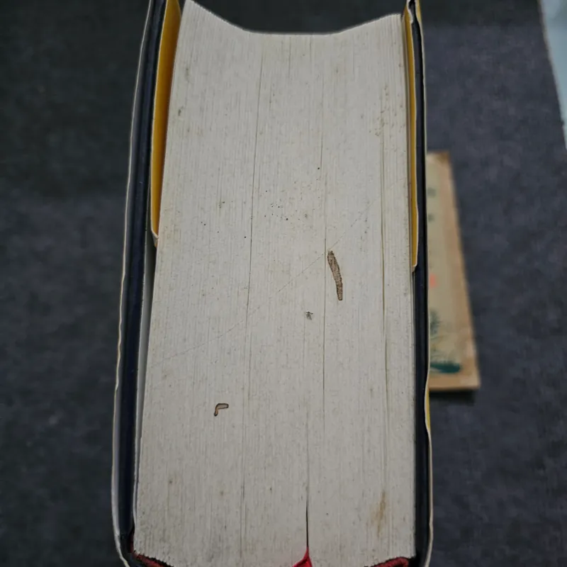 Đường sống văn thư và nghị luận - Lev Tolstoy - Bản đặc biệt S150 747315