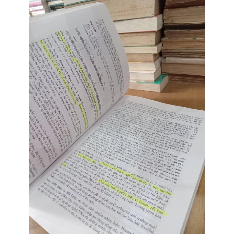 Gen Trị Liệu: Phương Pháp Chữa Bệnh Bằng Gen - Pgs.Ts. Nguyễn Văn Kình 1067430