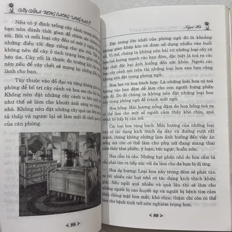 Cây cảnh trong phong thủy nhà ở 764640