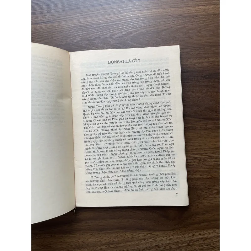 Bonsai 🌿🌿 961565