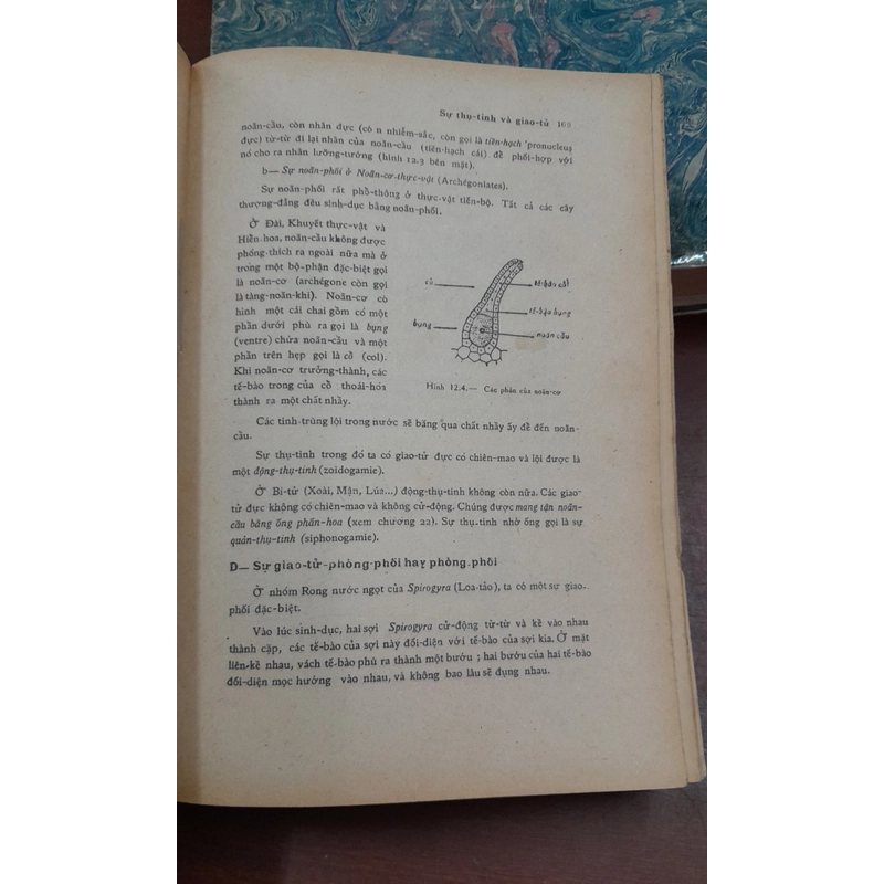 SINH HỌC THỰC VẬT - PHẠM HOÀNG HỘ 470312