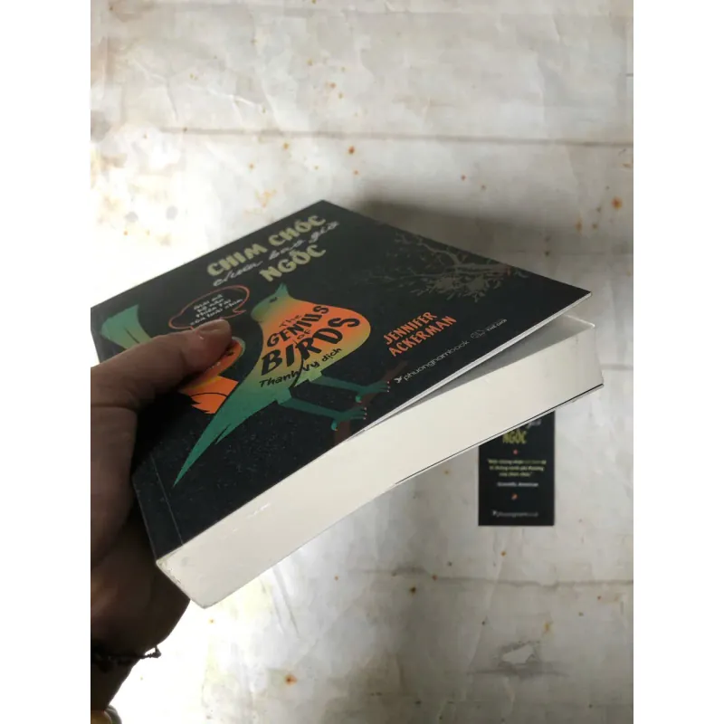 Chim Chóc Chưa Bao Giờ Ngốc | Jennifer Ackerman 800730