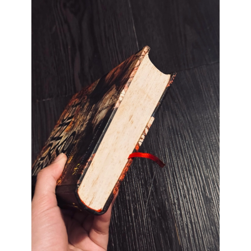 Rừng xanh lá đỏ 531085