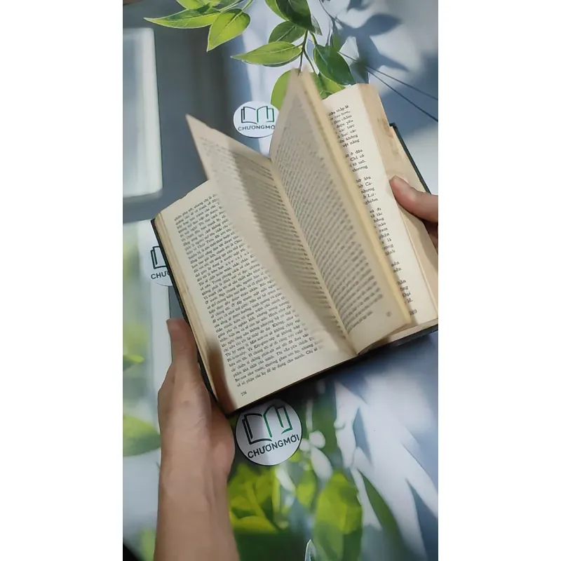 Bức Tranh - Đanhin Granhin 750804