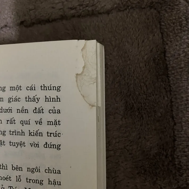 Trầu cau việt điện thư 674049