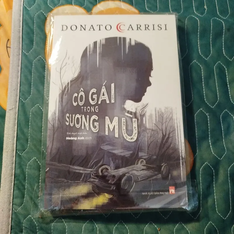 Cô gái trong sương mù - Donato Carrisi 997028