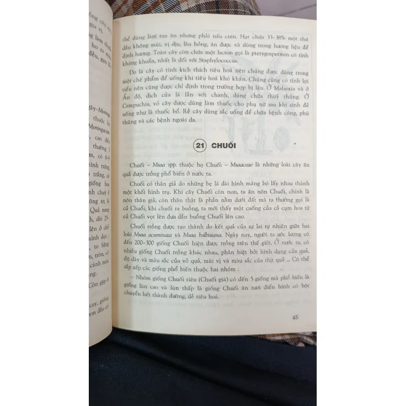 CÂY RAU LÀM THUỐC - VÕ VĂN CHI 746967