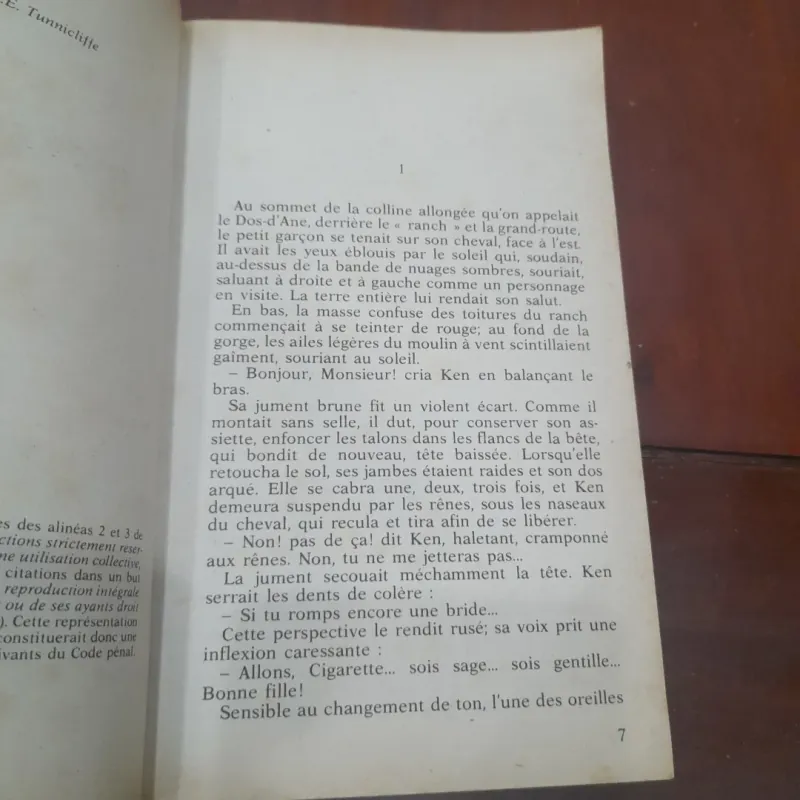 Mary O'Hara - MON AMIE FLICKA 791284
