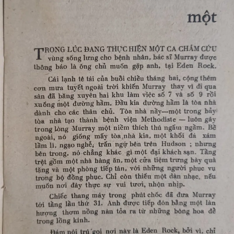 Khách lạ ở Thiên Đường 🌻 575473