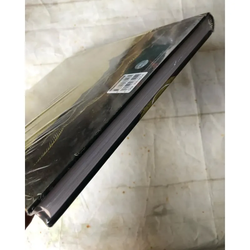 Lĩnh Nam Chích Quái - Trần Thế Pháp 738831