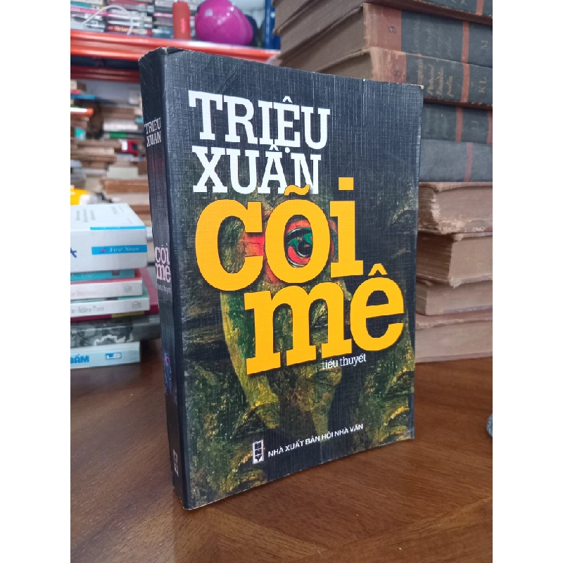 Cõi mê - Triệu Xuân 173173