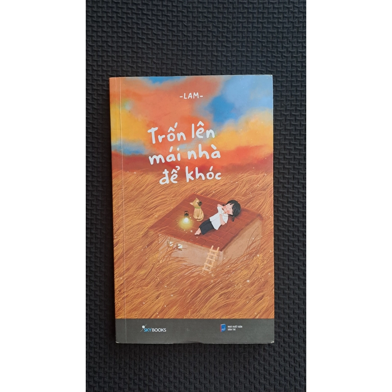Trốn lên mái nhà để khóc - Lam 502371