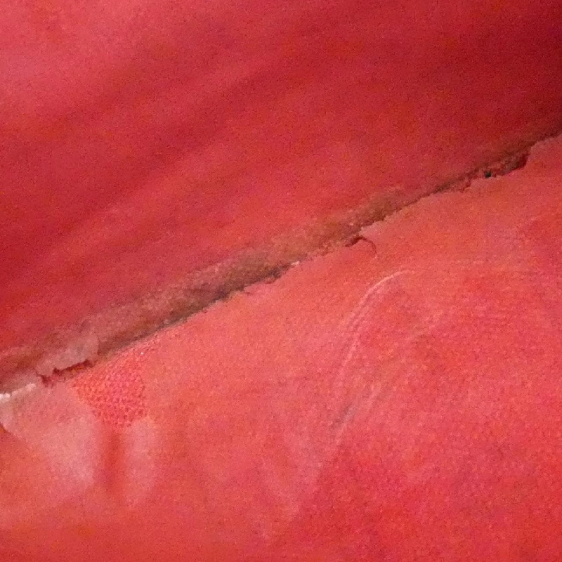 Túi xách Louis Vuitton Damier Neverfull MM N51105 - Hàng hiệu Chính hãng 802273