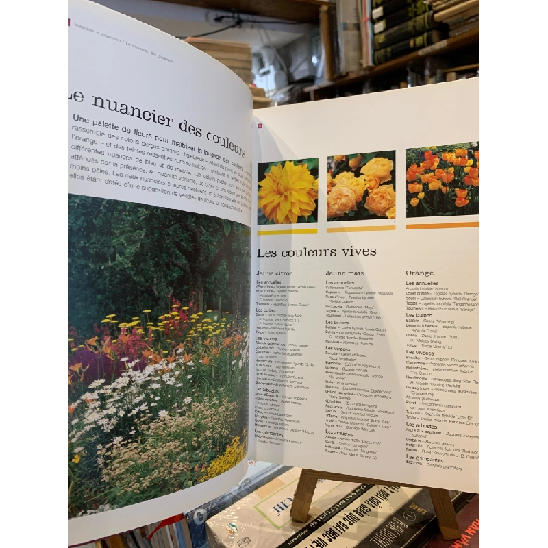 Deco Jardin: Amenager un jardin de fleurs de feuillages d'eau - Pierre Nessman, Brigtte et Philippe Perdereau 315345