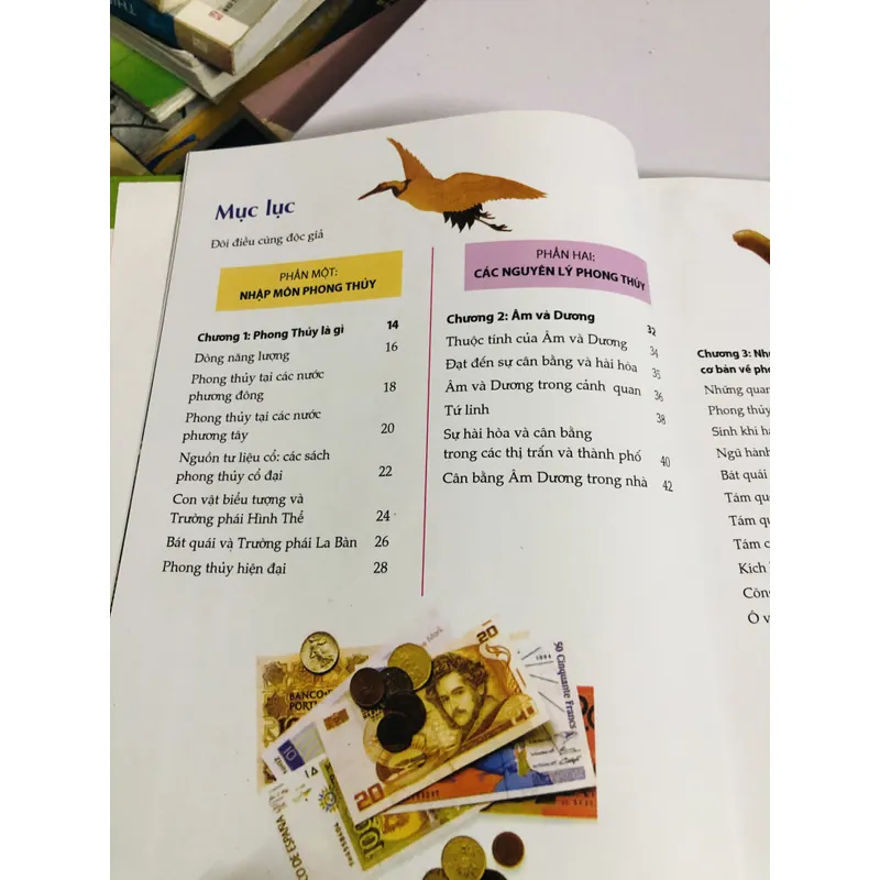 KHOA HỌC PHONG THUỶ TRONG CUỘC SỐNG  720836