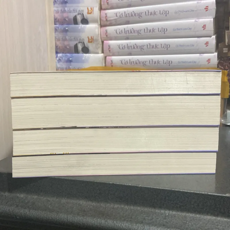 (Ngôn tình) - Hữu Phỉ - Priest ( trọn bộ 4 quyển ) 276535