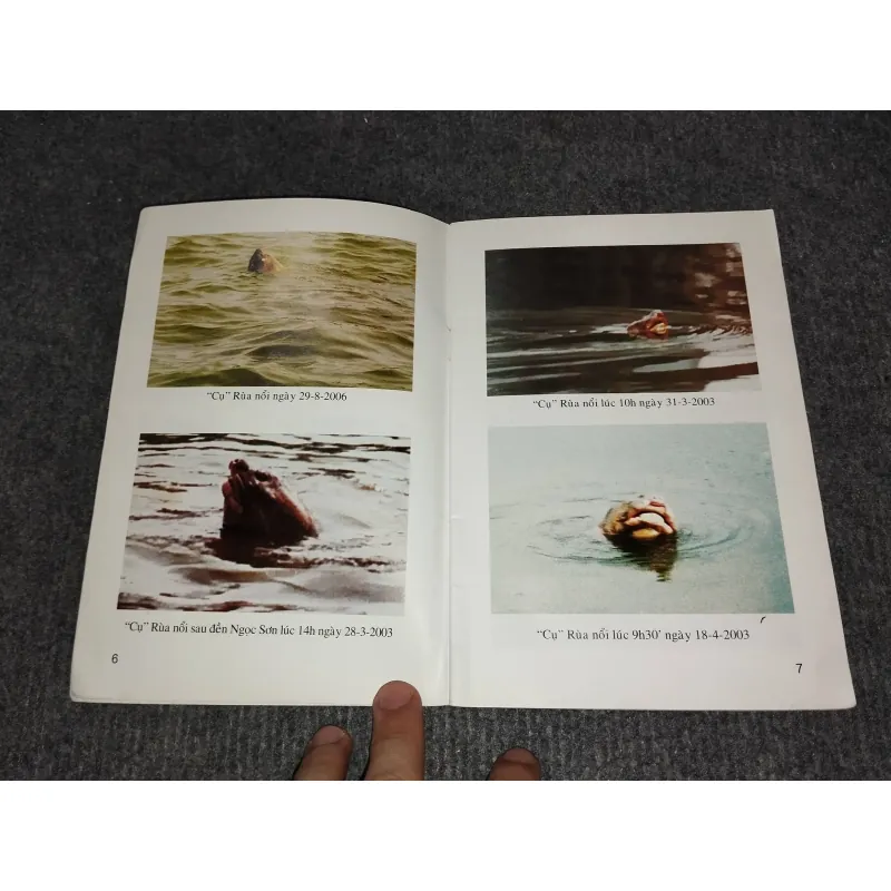 KỂ CHUYỆN VỀ RÙA Ở HỒ GƯƠM 993105