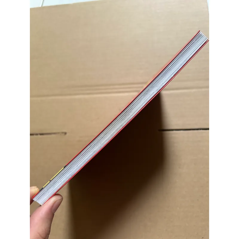 Pikalong - Long yêu Việt Nam 998197