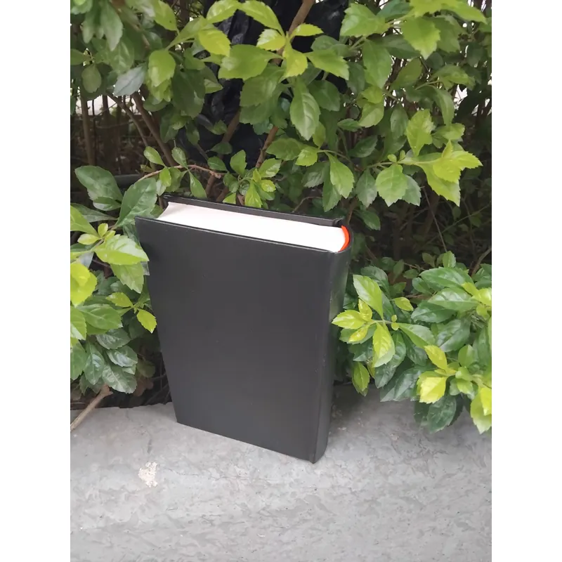 Tiêu Sơn tráng sỹ tiểu thuyết của Khái Hưng  733480