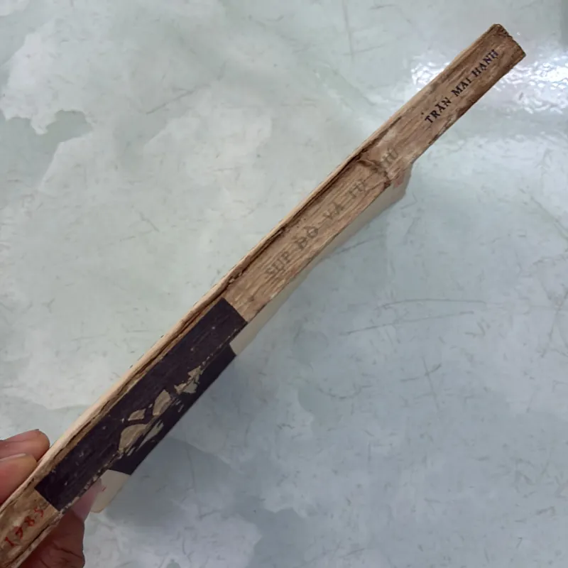 Sụp đổ và tự thú - Trần Mai Hạnh 996257