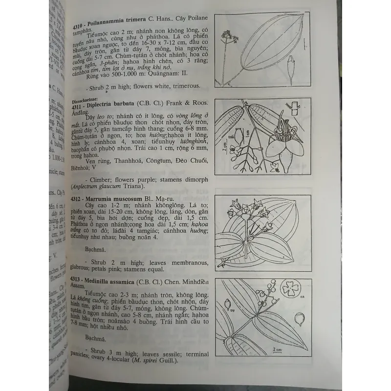 CÂY CỎ VIỆT NAM (QUYỂN I, II, III) - PHẠM HOÀNG HỘ 740112