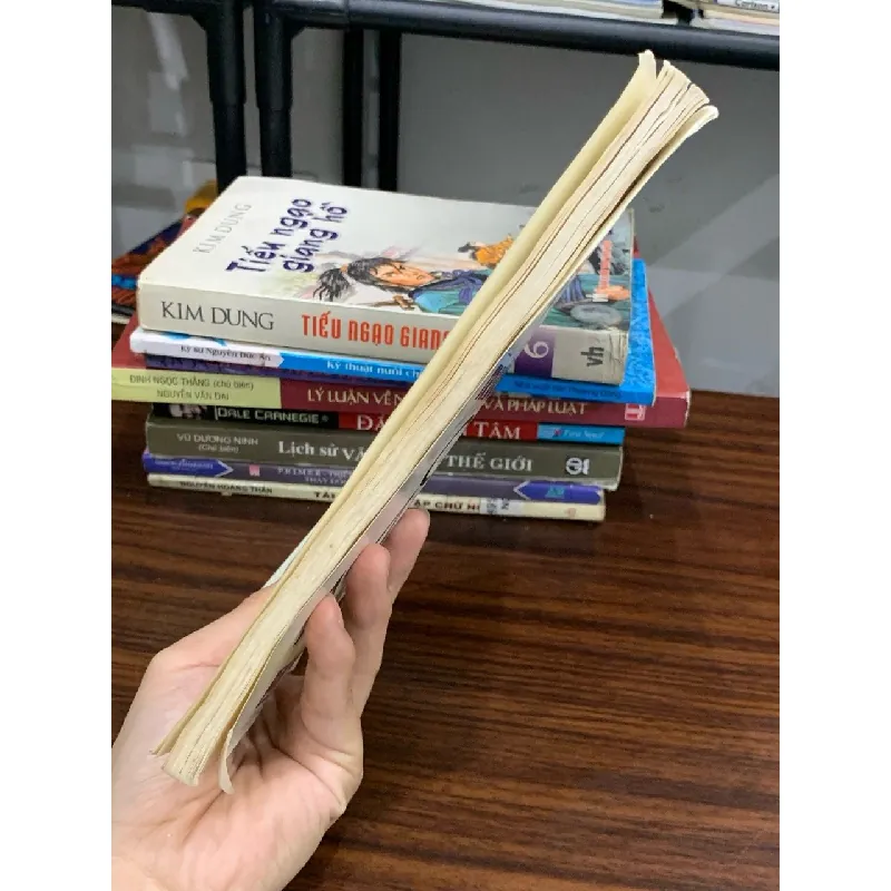 Yoga Trường Sinh cho mọi người – Phạm Cao Hoàn 588562