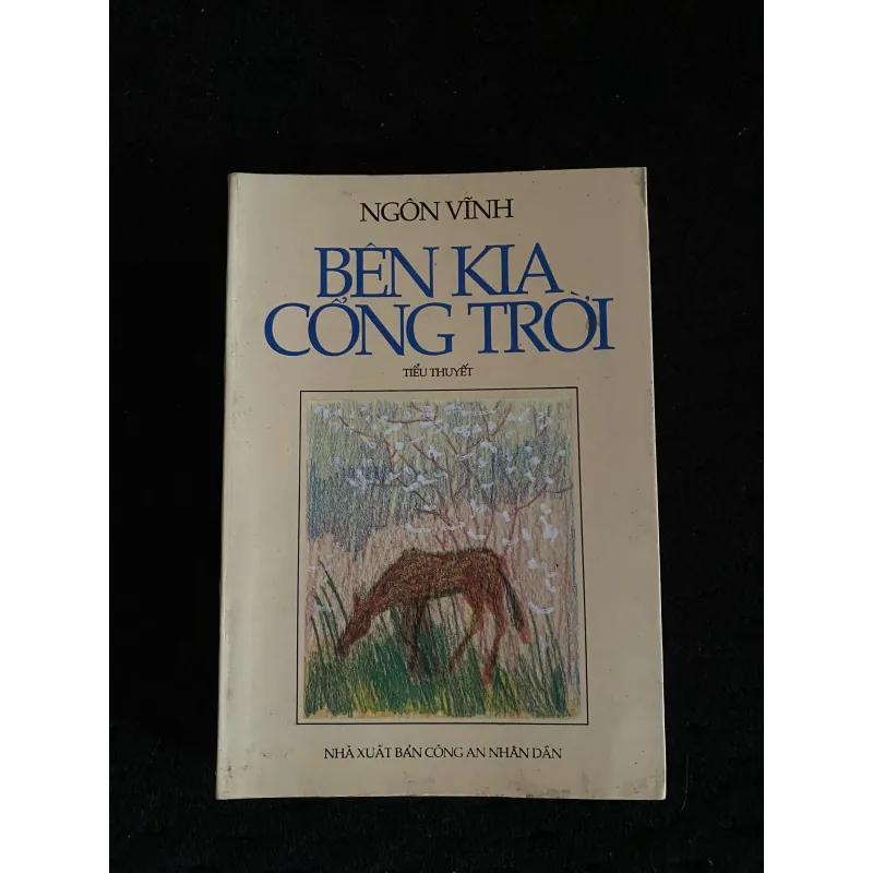 Bên kia cổng trời  996811