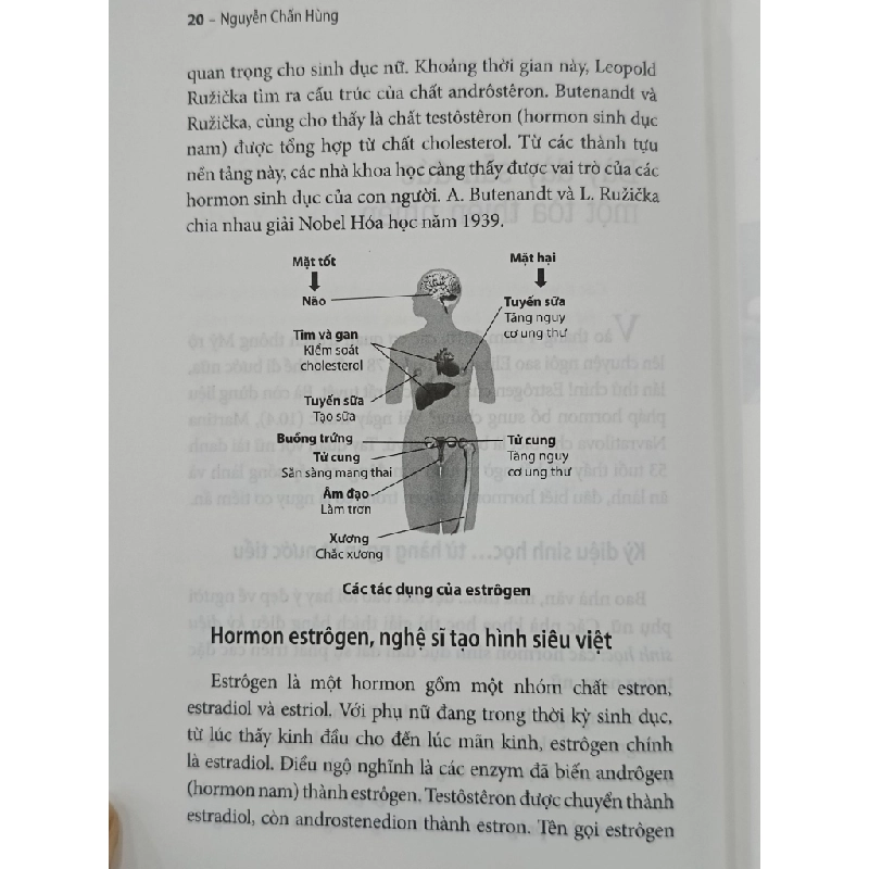 Sâu thẳm sự sống - Nguyễn Chấn Hùng 536191